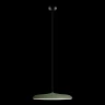 Подвесной светильник Loft IT Plato 10119 Green