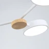 Люстра на штанге Ambrella Light Linetech Comfort FL4858