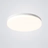 Потолочный светильник ImperiumLoft Disc Half White 193124-26