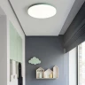 Потолочный светильник ImperiumLoft Disc Half White 193124-26