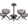 Люстра на штанге Illumico IL8724-5CSQ-79 CR BK