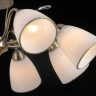 Люстра на штанге Illumico IL0308-8CSQ-29 AB