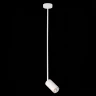 Подвесной светильник ST Luce Sormano SL1206.503.01