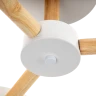 Люстра на штанге Ritter Scandia 51589 4