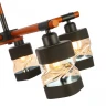 Потолочный светильник EVOLUCE ABIRITTO SLE114402-05