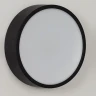 Потолочный светильник Italline M04-525-146 black 4000K