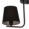 Потолочный светильник Illumico IL8134-2COU-79 BK