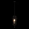 Уличный подвесной светильник Loft IT Verona 100003P