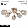 Потолочная люстра Lussole Lgo Cochise LSP-8086