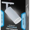 Трековый светильник Эра TR52 - GU10 WH Б0054165