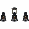 Потолочная люстра Reluce 06074-3.3-03 BK+FG