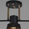 Потолочная люстра Reluce 06074-3.3-03 BK+FG