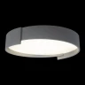Потолочный светильник Loft IT Coin 10200 Grey
