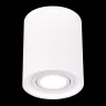 Потолочный светильник ST Luce ST156.502.01