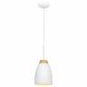 Подвесной светильник LOFT IT Watchman Loft4402A-Wh