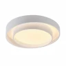 Потолочный светильник Myfar Rhea MR9160-CL