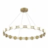 Подвесная люстра ST Luce Monro SL6610.203.20