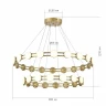 Подвесная люстра ST Luce Monro SL6610.203.36
