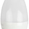Лампа светодиодная Эра E14 8W 6500K LED BXS-8W-865-E14 R Б0045345