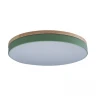 Потолочный светильник Loft IT AXEL 10001/36 Green