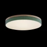 Потолочный светильник Loft IT AXEL 10001/36 Green