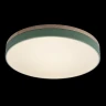 Потолочный светильник Loft IT AXEL 10001/36 Green