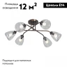 Потолочная люстра Vitaluce V4953-7/6PL