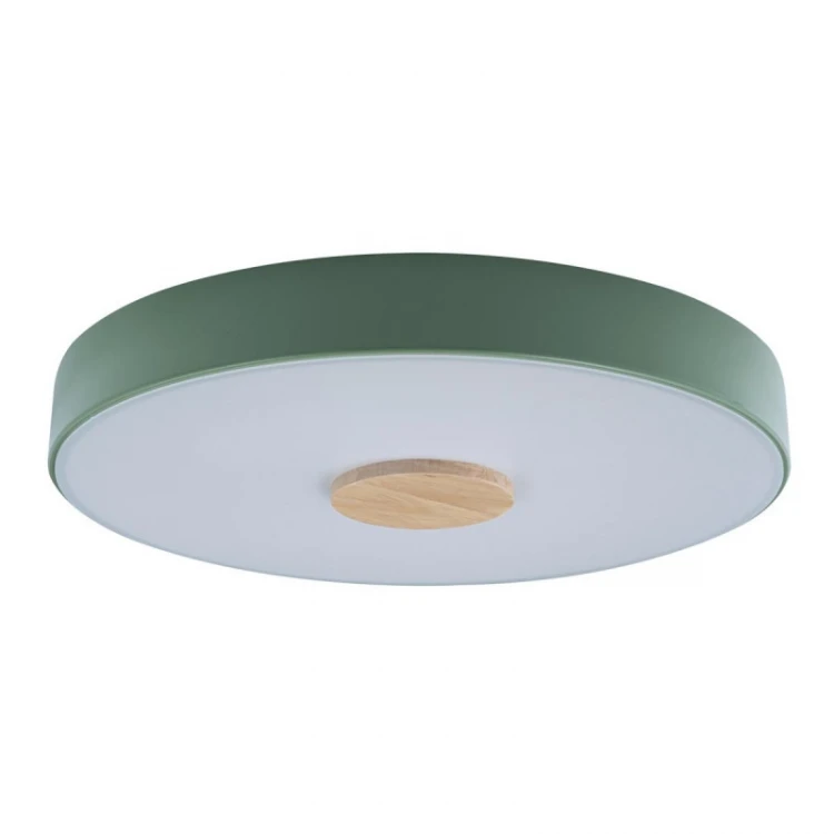 Потолочный светильник Loft IT AXEL 10003/24 Green