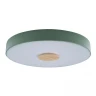 Потолочный светильник Loft IT AXEL 10003/24 Green