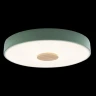 Потолочный светильник Loft IT AXEL 10003/24 Green