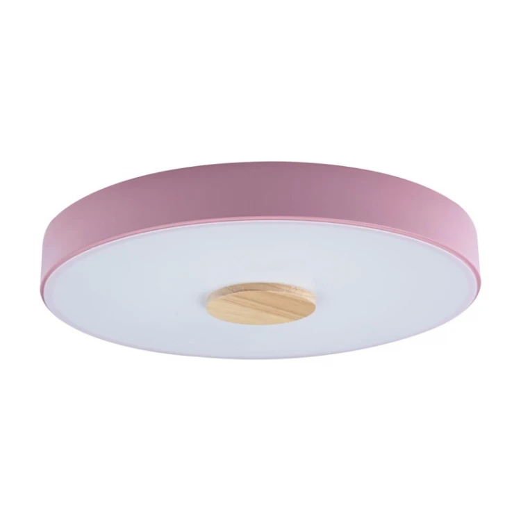 Потолочный светильник Loft IT AXEL 10003/24 Pink