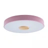 Потолочный светильник Loft IT AXEL 10003/24 Pink