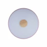 Потолочный светильник Loft IT AXEL 10003/24 Pink