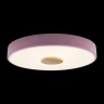 Потолочный светильник Loft IT AXEL 10003/24 Pink