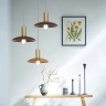 Подвесной светильник ImperiumLoft Wood 219479-26