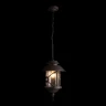 Уличный подвесной светильник Loft IT Prato 100021P