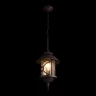 Уличный подвесной светильник Loft IT Prato 100021P