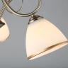 Потолочная люстра Omnilux Alimini OML-25307-03