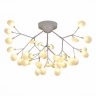 Потолочная люстра Evoluce Avola SLE250102-36