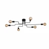 Потолочная люстра ST Luce Ano SL419.442.06