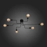 Потолочная люстра ST Luce Ano SL419.442.06