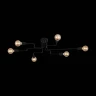 Потолочная люстра ST Luce Ano SL419.442.06
