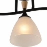 Потолочная люстра Reluce 01589-3.3-03B BK+WOOD