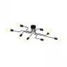 Потолочная люстра ST Luce Ano SL419.442.08