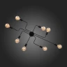 Потолочная люстра ST Luce Ano SL419.442.08
