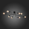 Потолочная люстра ST Luce Ano SL419.442.08
