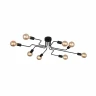 Потолочная люстра ST Luce Ano SL419.442.08