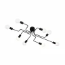 Потолочная люстра ST Luce Ano SL419.442.08