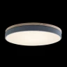 Потолочный светильник Loft IT AXEL 10001/36 Grey