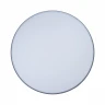 Потолочный светильник Loft IT AXEL 10001/36 Grey